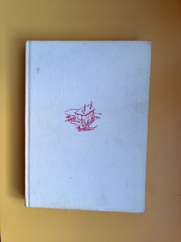 Betty van der Plaats – Erna en het witte huis, Ophalen of Verzenden, Gelezen, Betty van der Plaats
