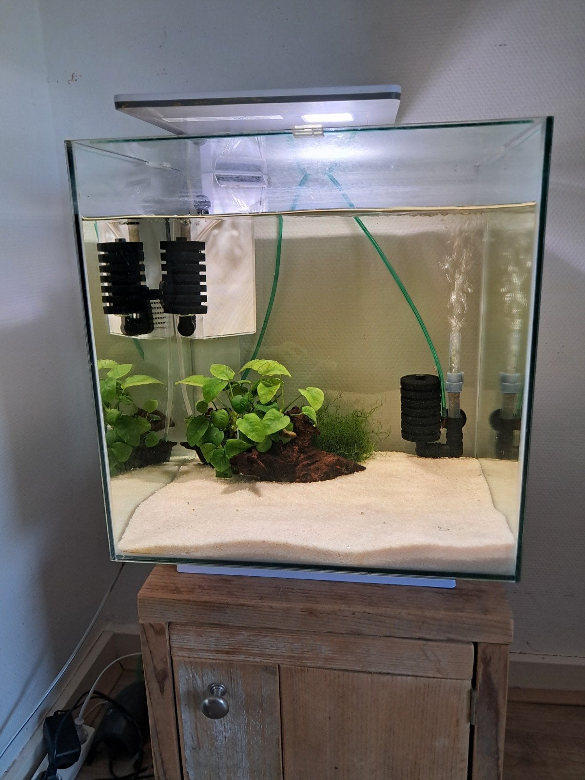 aquarium 40x40x40 64 liter, Dieren en Toebehoren, Vissen | Aquaria en Toebehoren, Ophalen, Gebruikt, Plant(en), Steen of Hout