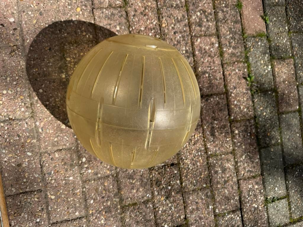Chinchilla loopbal, Dieren en Toebehoren, Ophalen of Verzenden