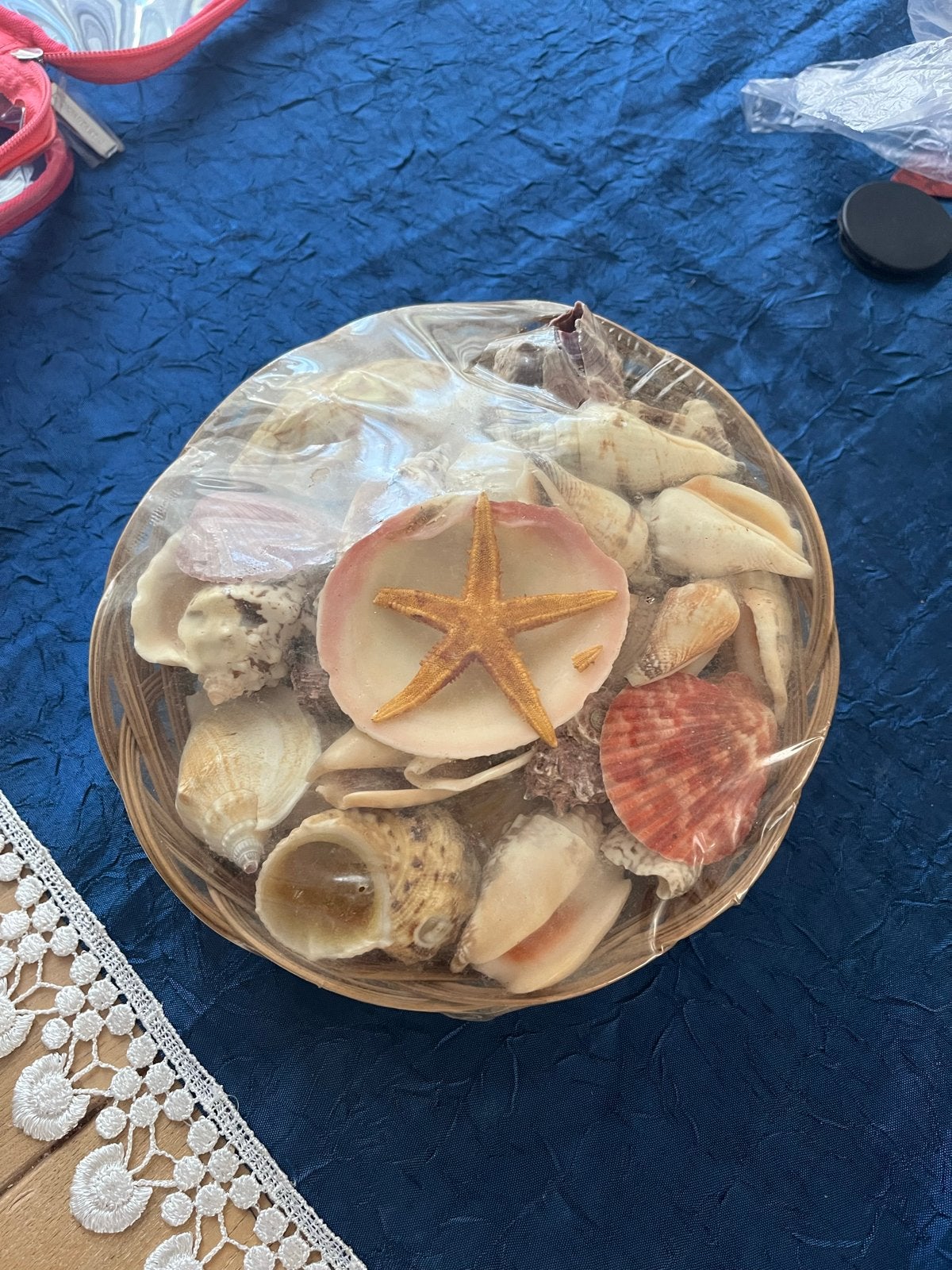 Decoratieve schelpen in mandje is nieuw, Meerkleurig, Overige stijlen, Nieuw, Ophalen of Verzenden