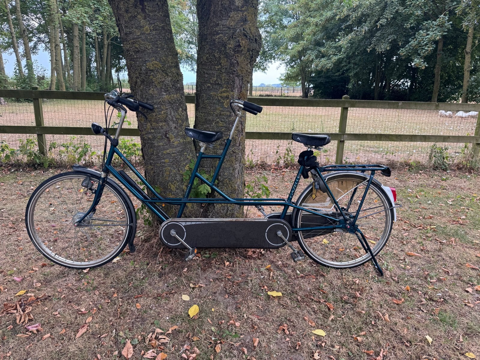 Charmante Gazelle tandem, Ophalen, Minder dan 10 versnellingen, Gebruikt, Velgrem