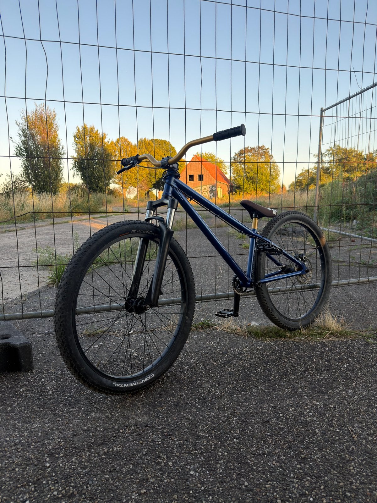 Leafcycles ruler dirtjumper custom, Fietsen en Brommers, Ophalen, 24 inch of meer, Gebruikt, Stuur 360° draaibaar