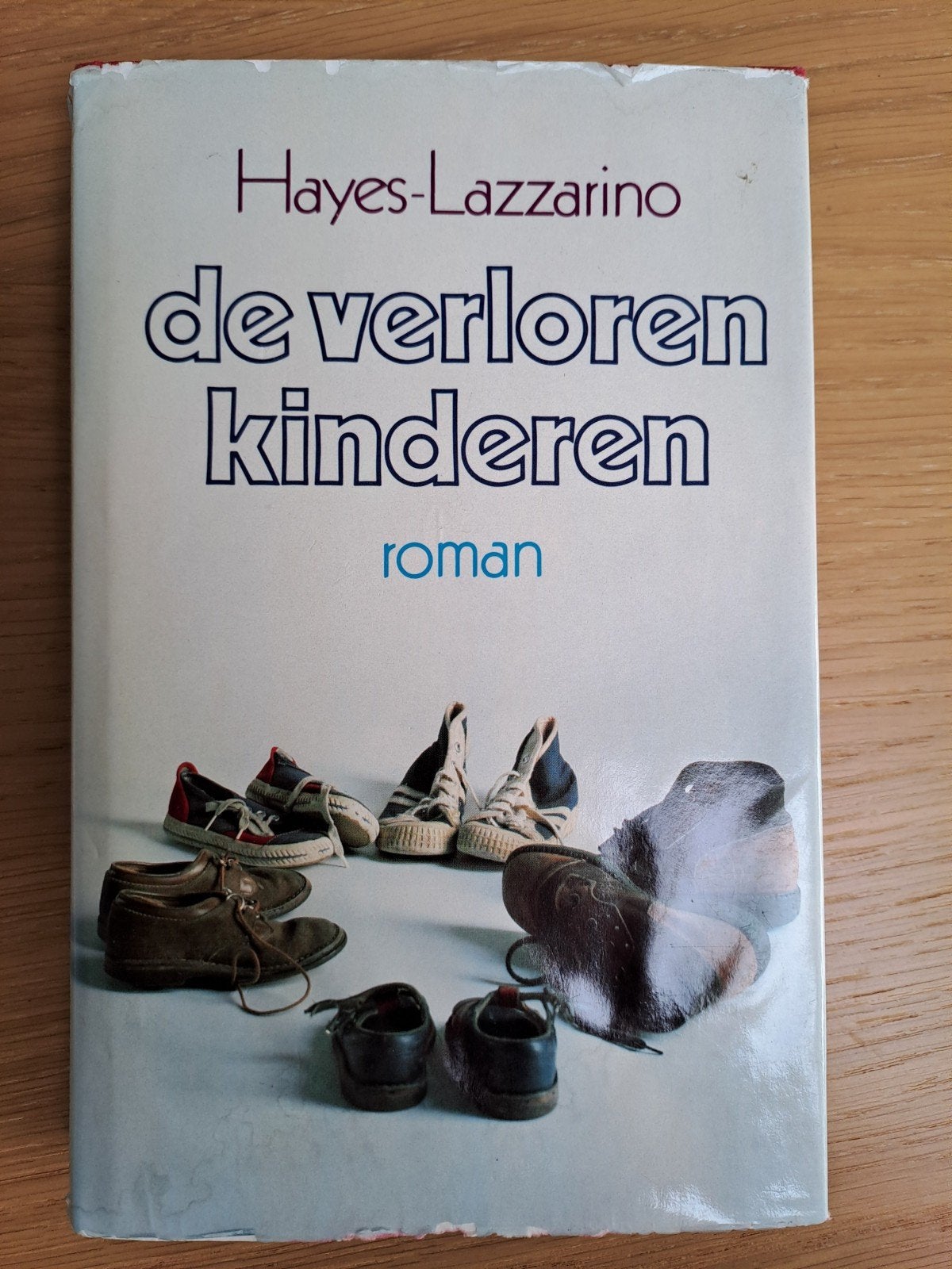 De verloren kinderen - Hayes-Lazzarino (roman), Boeken, Ophalen of Verzenden, Gelezen, Hayes-Lazzarino