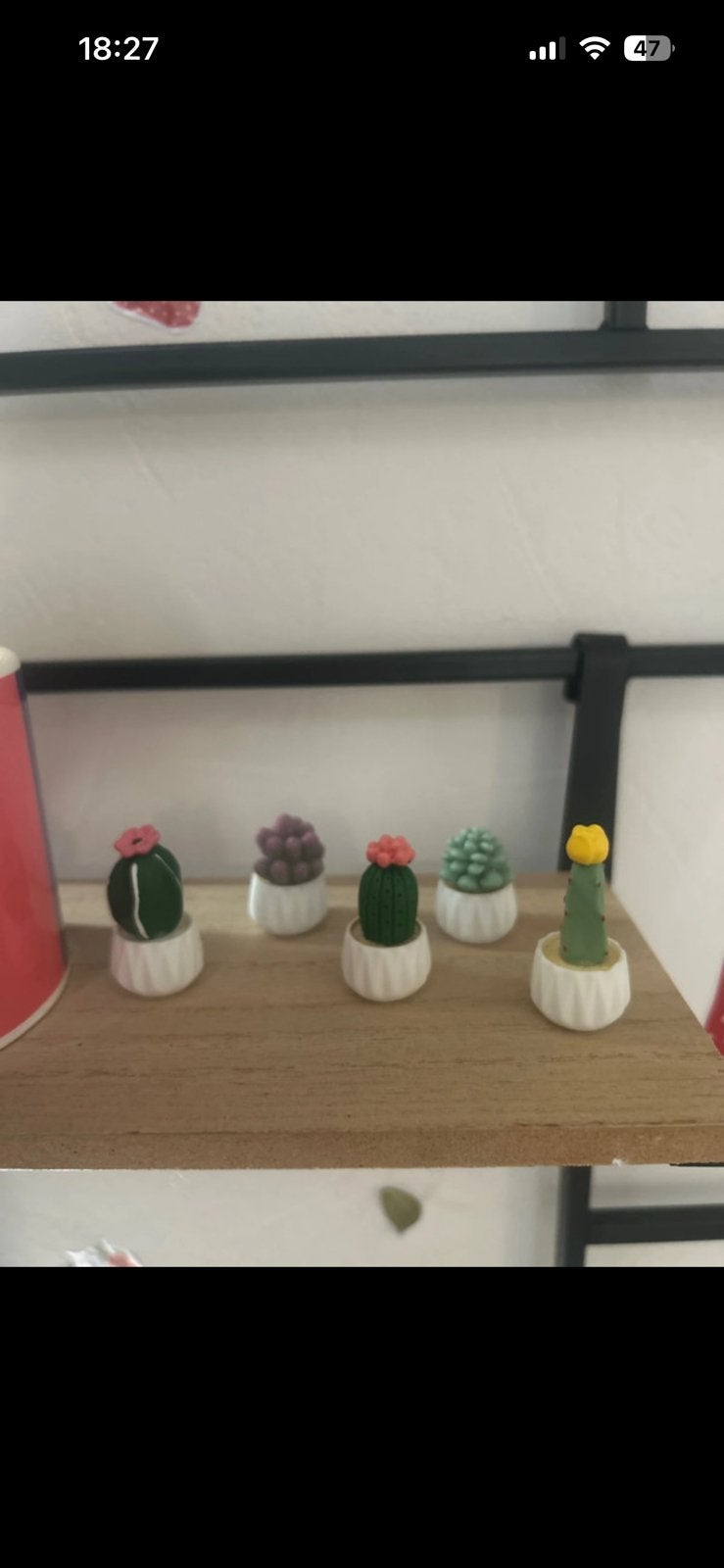 Miniatuur cactussen in pot 5 stuks, Verzenden, Nieuw, Decoratie