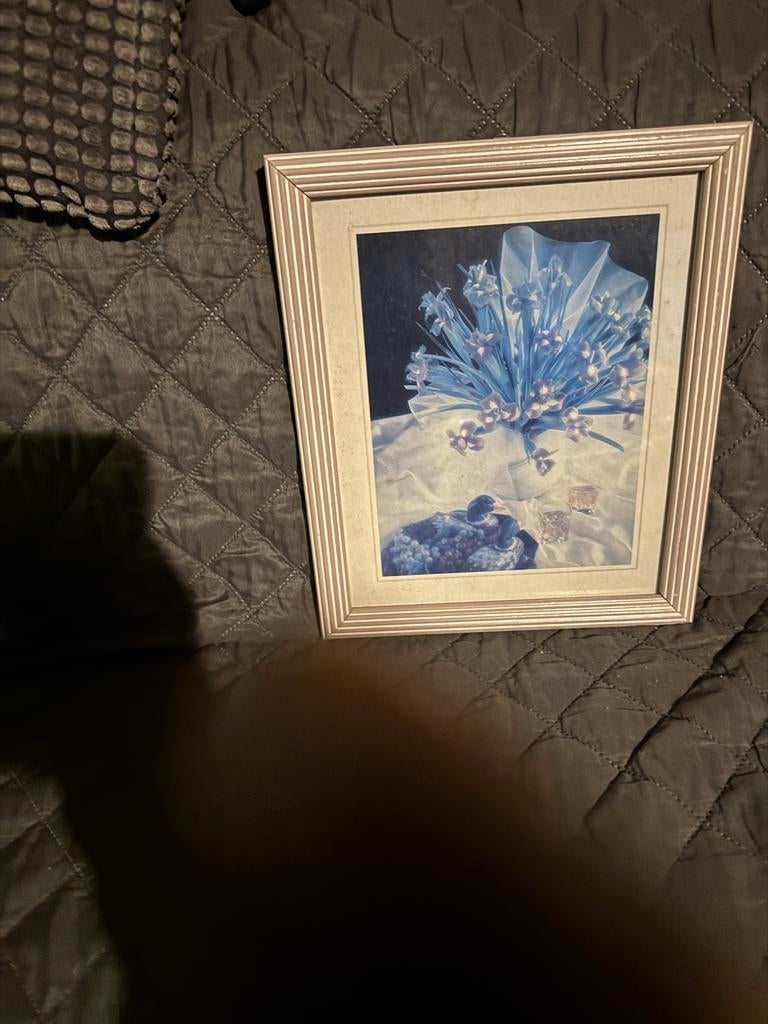 Set van 3 ingelijste prints: bloemen, viool en terras, Ophalen, Gebruikt, Minder dan 50 cm, Print