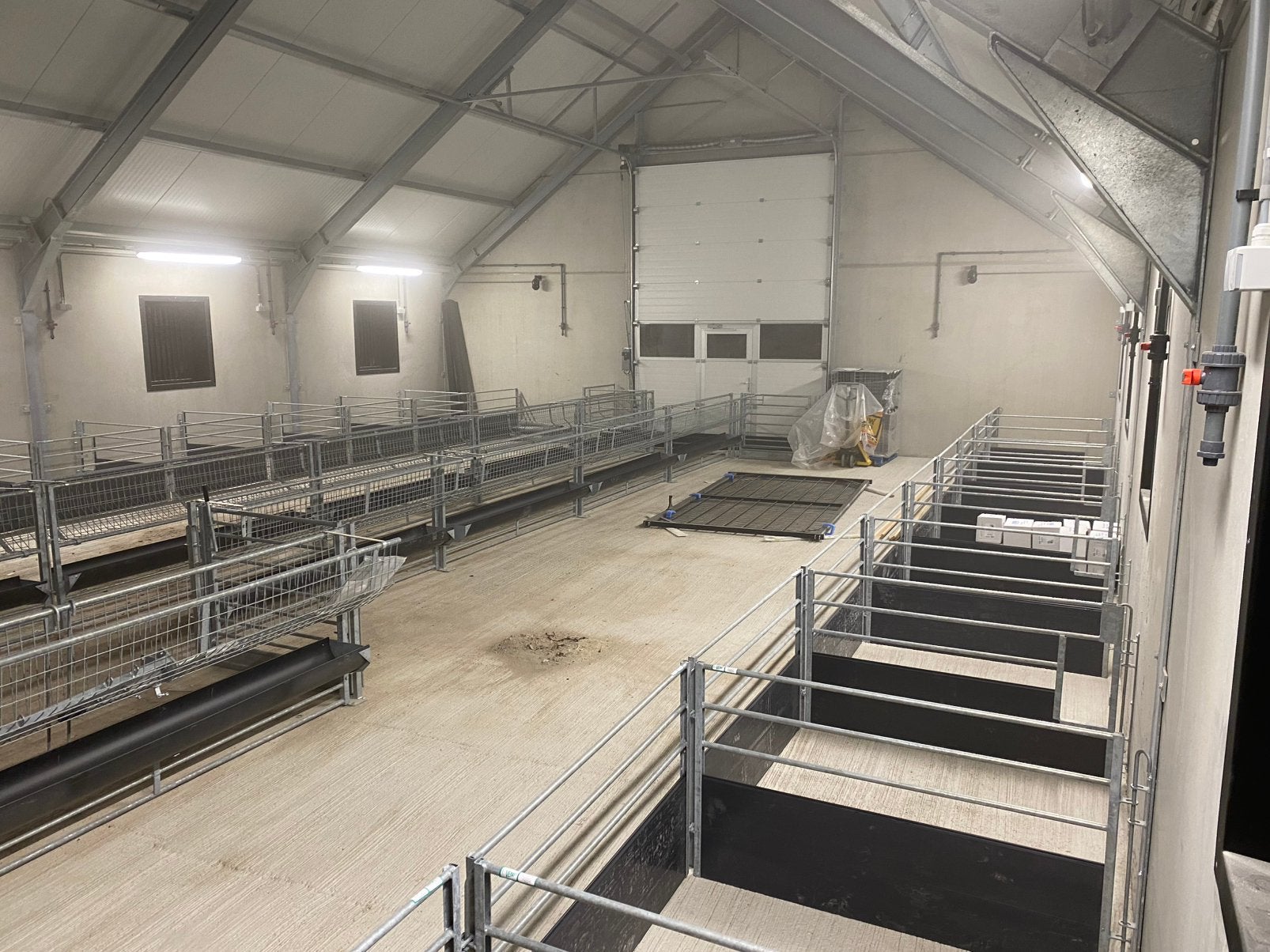 Volledige Veno stalinrichting, Dieren en Toebehoren, Meerdere dieren, Schaap