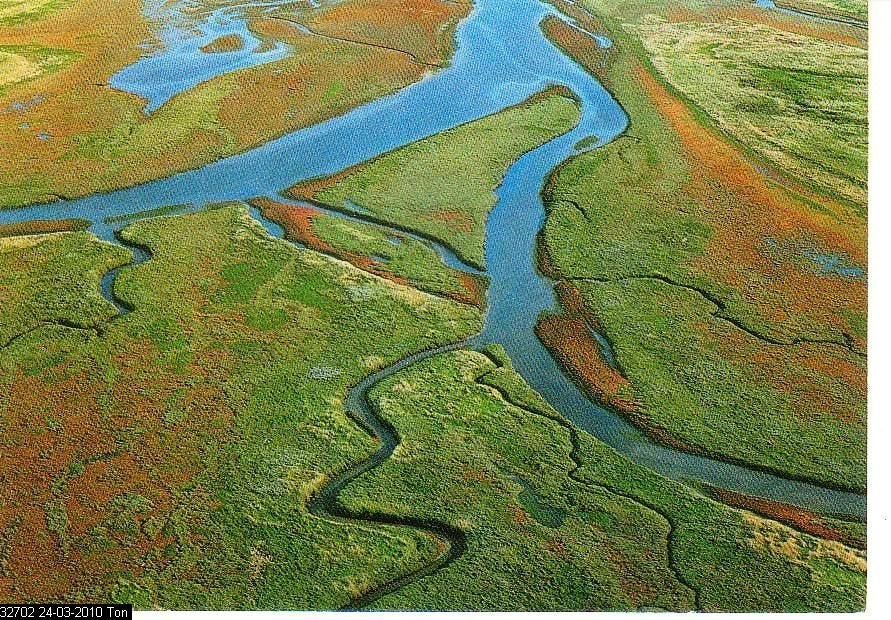 Ansichtkaart 	Waddenzee	Slenken op het wad, Verzamelen, Verzenden, 1980 tot heden, Ongelopen, Waddeneilanden