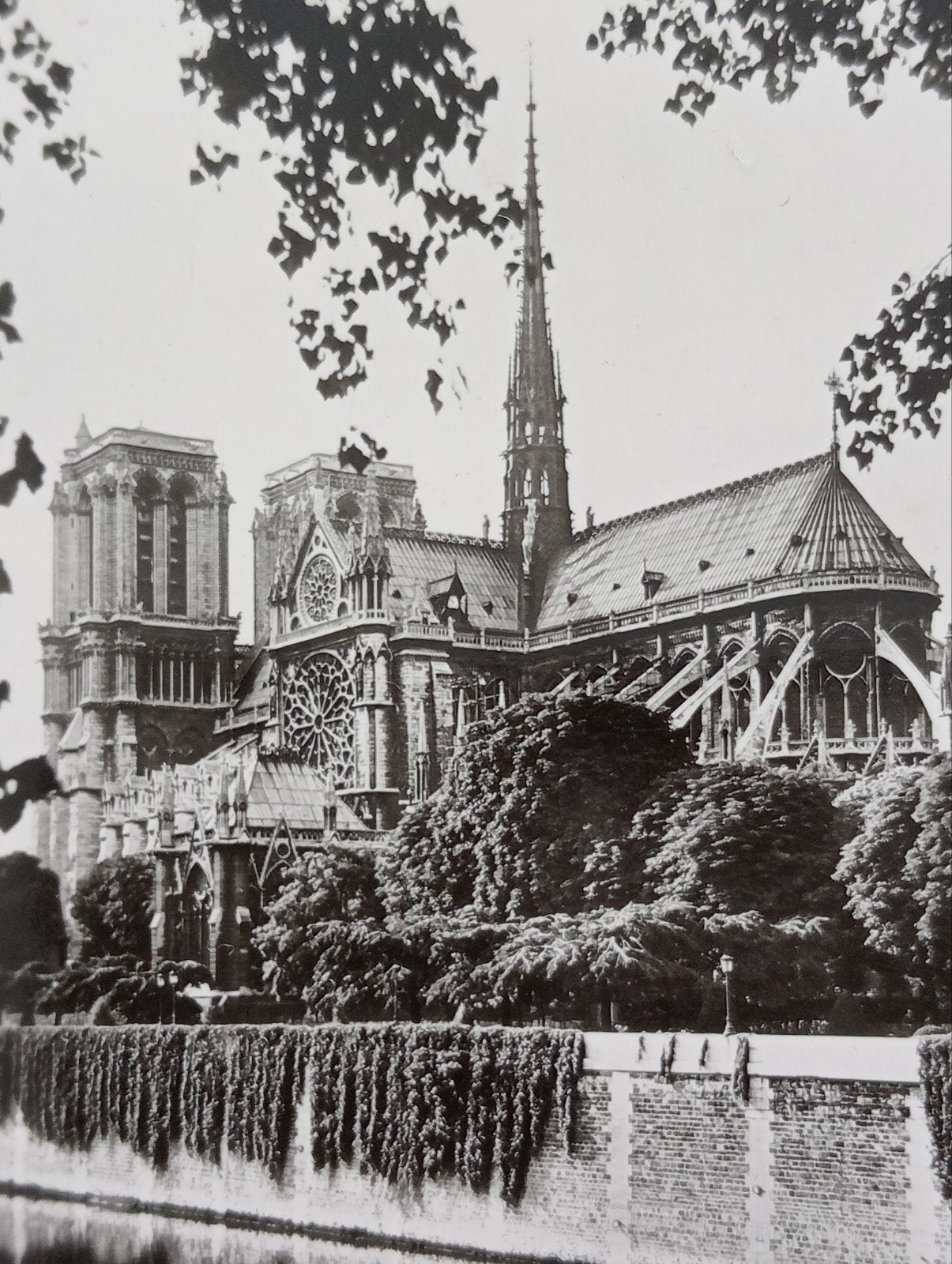 Parijs Notre Dame Paris foto jaren 40-60, Verzamelen, Ophalen of Verzenden