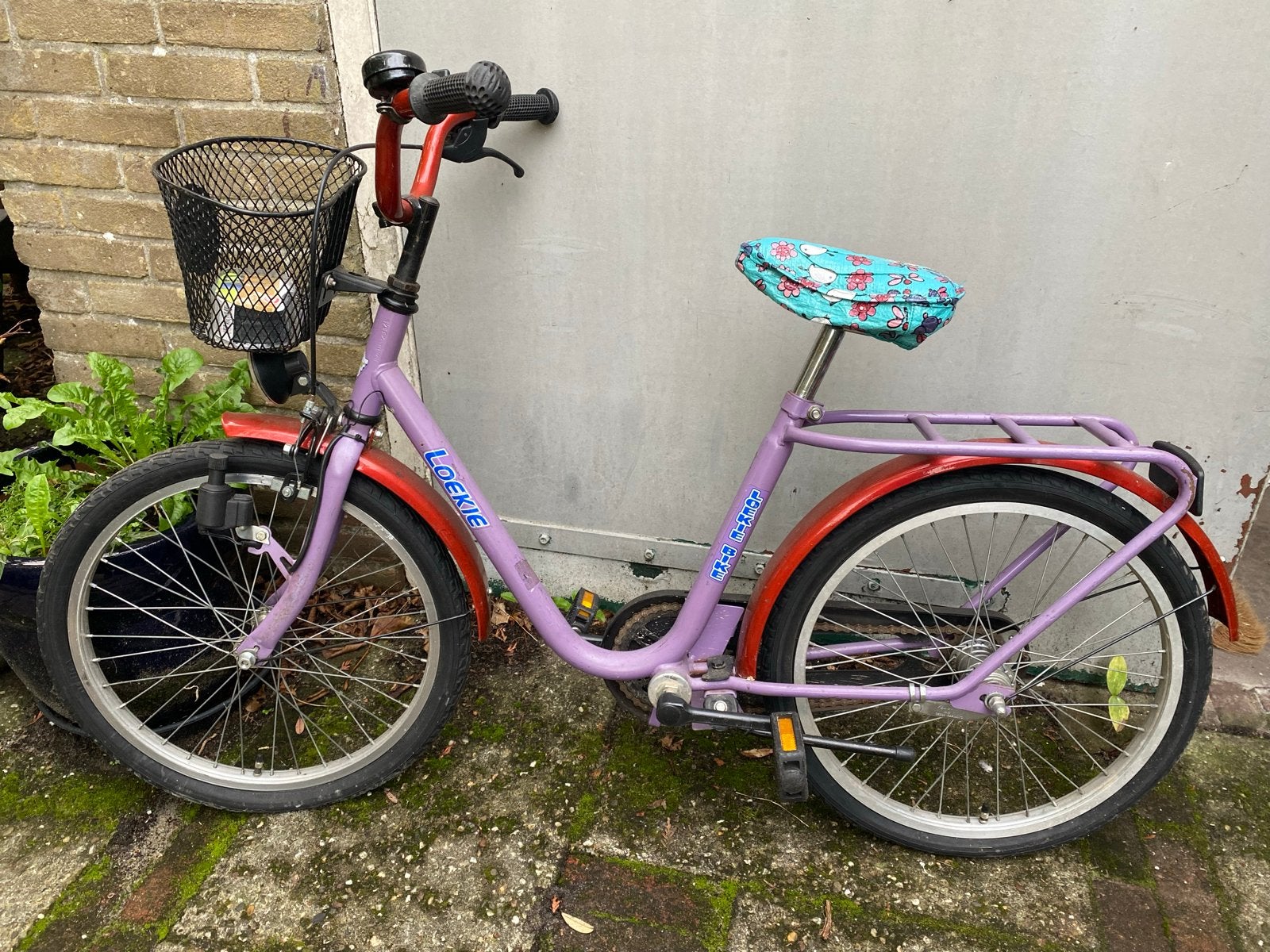 Loekie kinderfiets 20 inch - paars met mandje, Ophalen, Gebruikt, Terugtraprem, 20 inch of meer
