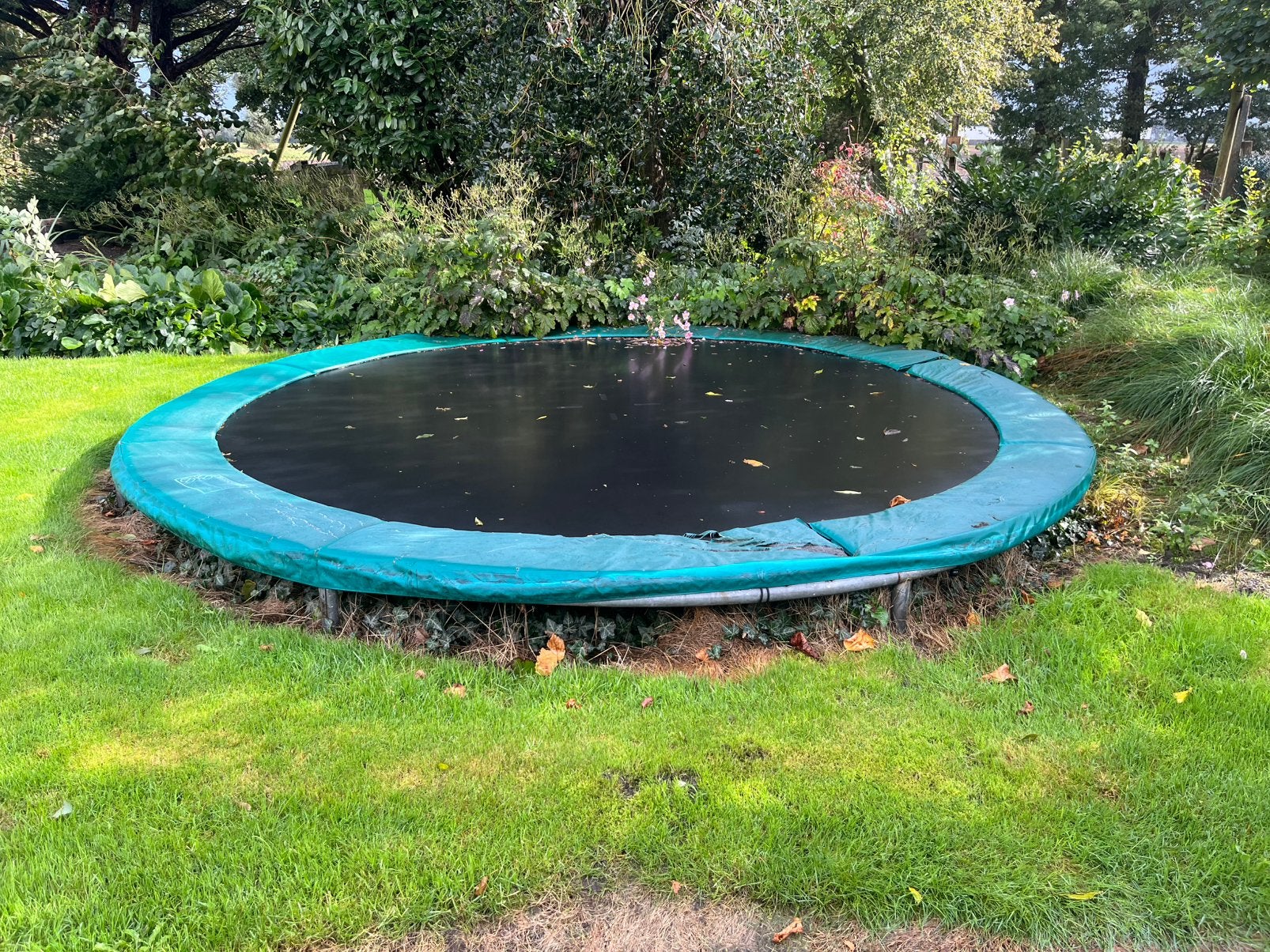 Trampoline groot 5,60 mtr, Ophalen of Verzenden, Gebruikt