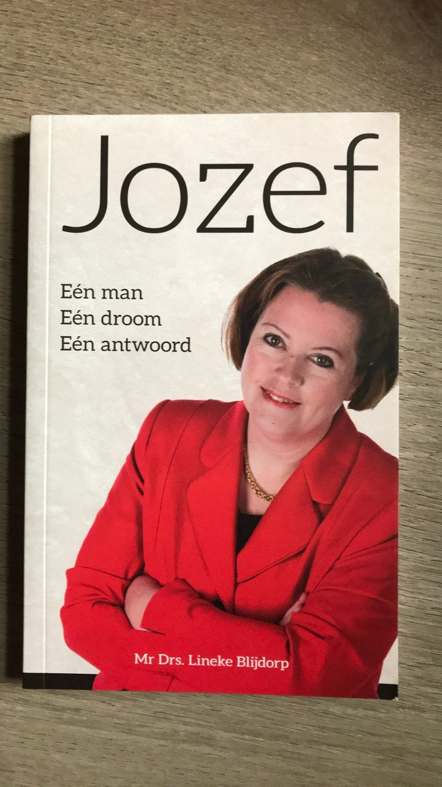 Jozef: Een man, een droom, een antwoord - Lineke Blijdorp, Ophalen of Verzenden, Gelezen, Nederland