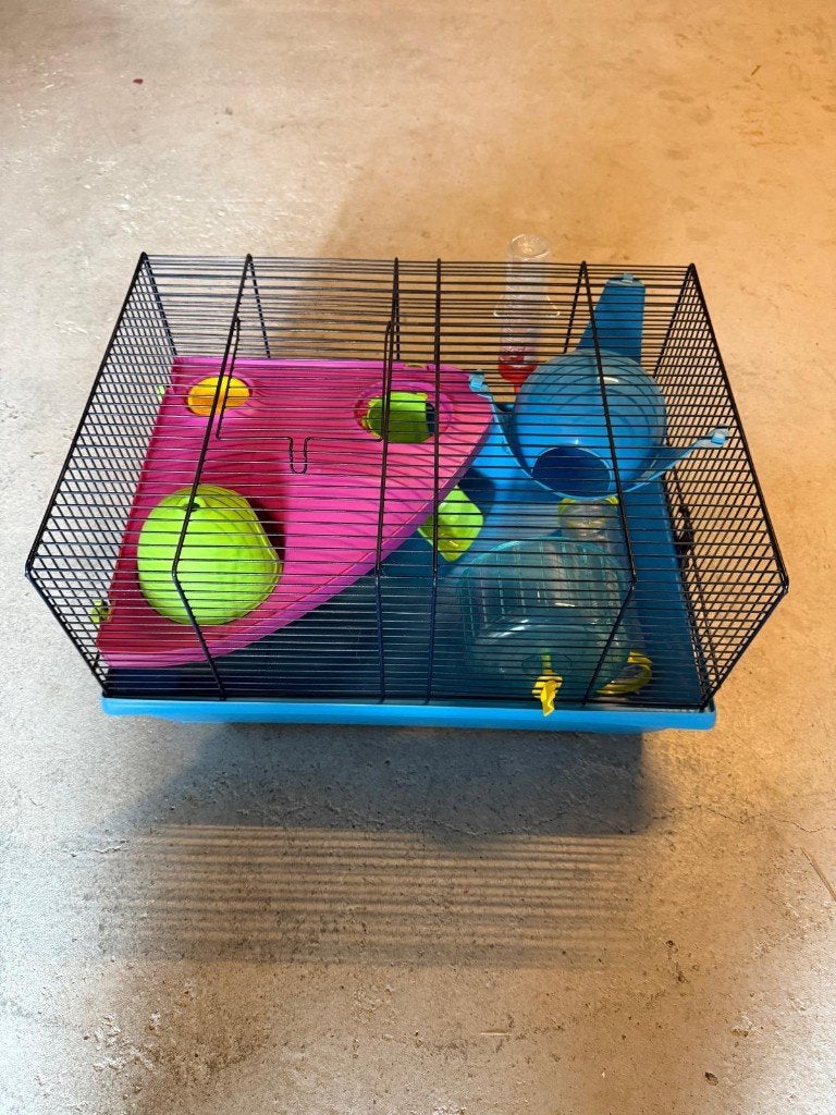 Mooie complete hamsterkooi met veel accessoires en extra's!, Kooi, Gebruikt, Minder dan 75 cm, Hamster