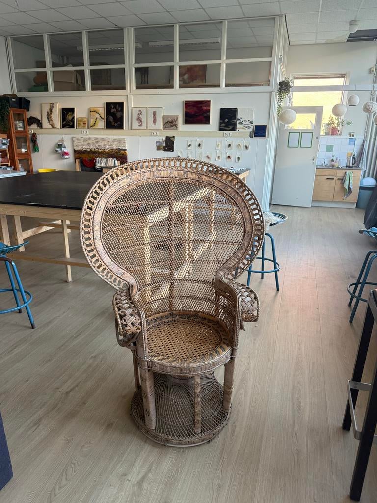 Vintage Rotan Pauwstoel - Unieke Blikvanger, Antiek en Kunst, Ophalen of Verzenden