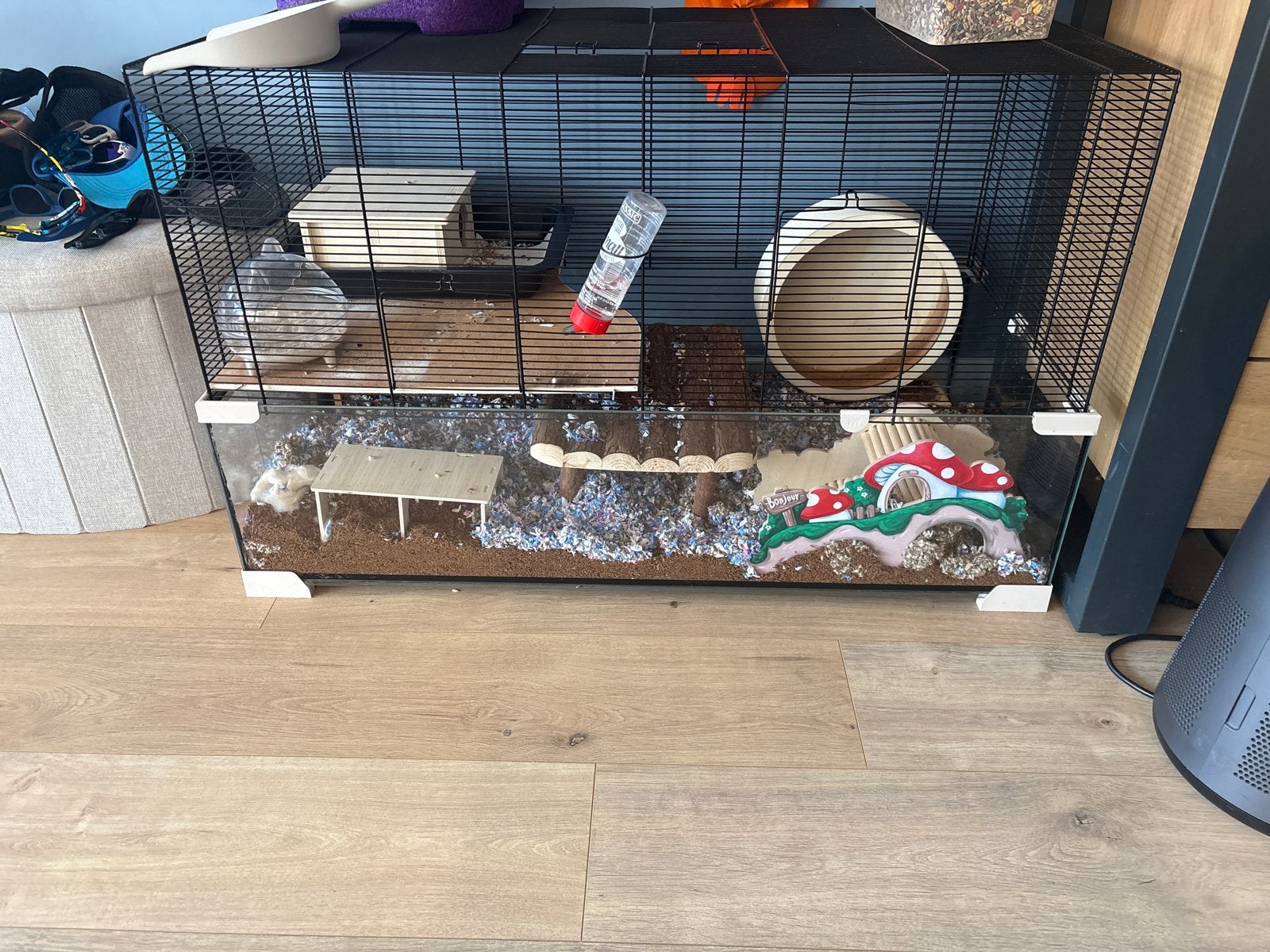 Tamme goudhamster met hok., Dieren en Toebehoren, Januari, Mannelijk, Hamster