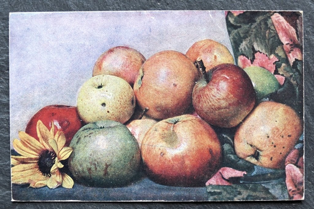 Stilleven Appels en zonnebloem, Verzamelen, Ansichtkaarten | Themakaarten, Verzenden, Voor 1920, Ongelopen, Natuur