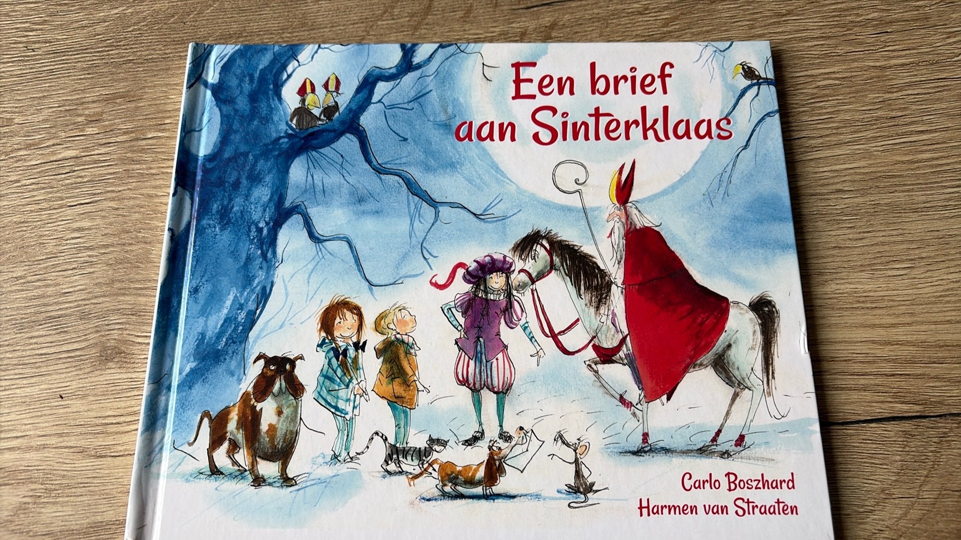 Een brief aan Sinterklaas, Boeken, Ophalen of Verzenden, Zo goed als nieuw