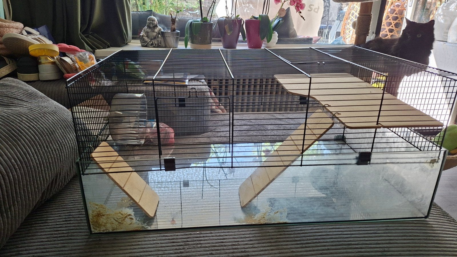 mooie hamsterkooi, Dieren en Toebehoren, Kooi, Gebruikt, Minder dan 75 cm, Ophalen