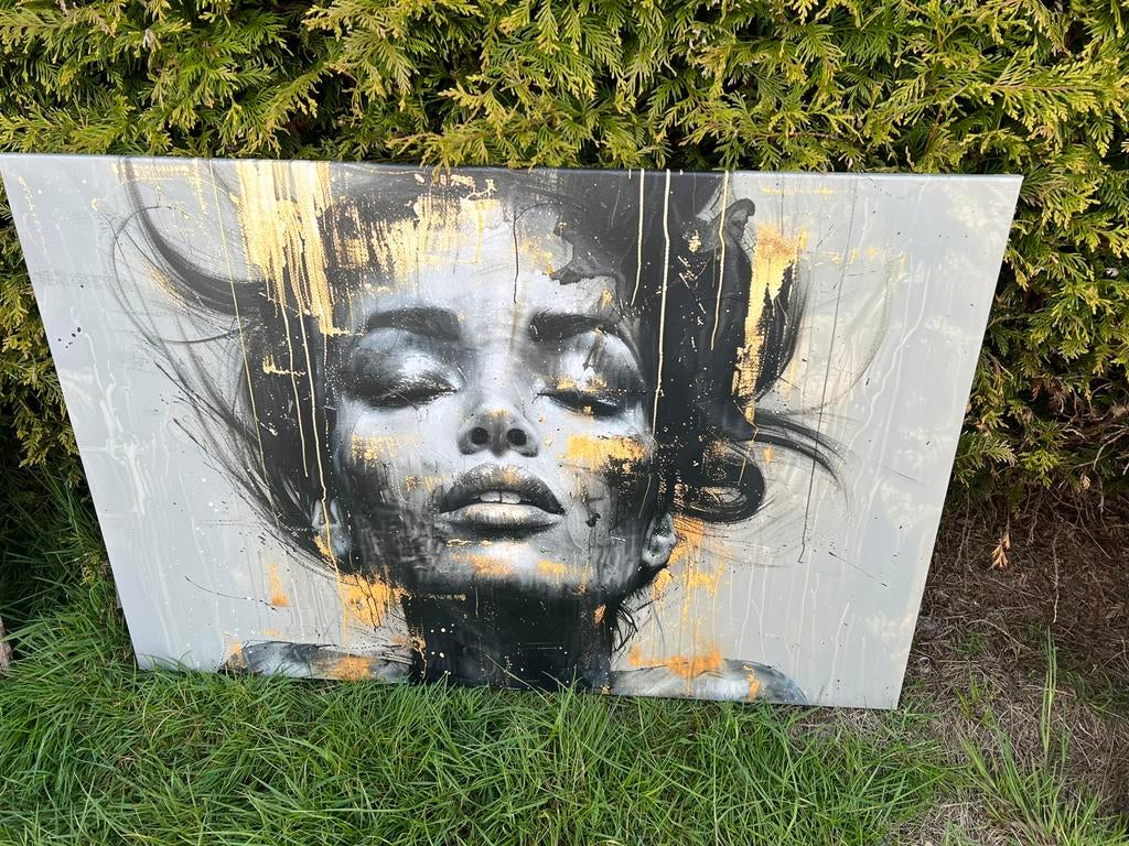 Canvas xl diverse afbeeldingen €10 p stuk, Huis en Inrichting, Woonaccessoires | Schilderijen, Tekeningen en Foto's, Ophalen, Zo goed als nieuw