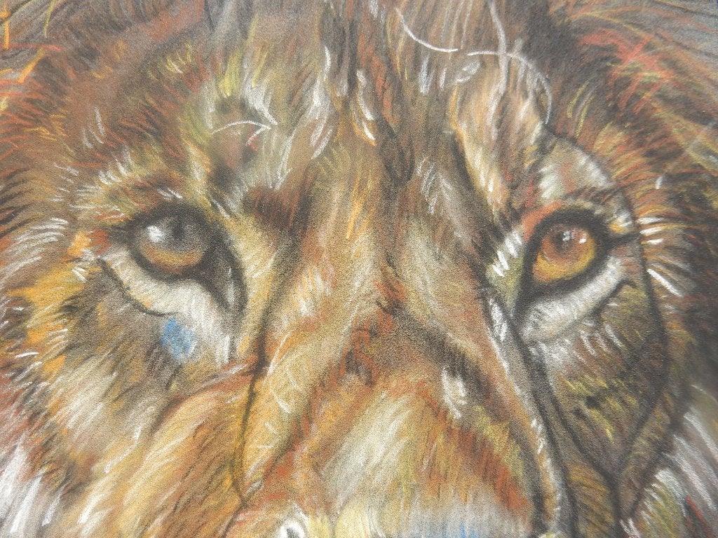 Ingelijste pastelkrijttekening Leeuw, Ophalen of Verzenden, Tekening, Pasteltekening, Handgemaakt