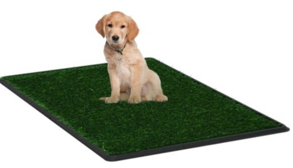 Huisdieren toilet pet potty honden toilet 
Pet potty
Honden, Dieren en Toebehoren, Ophalen of Verzenden, Nieuw