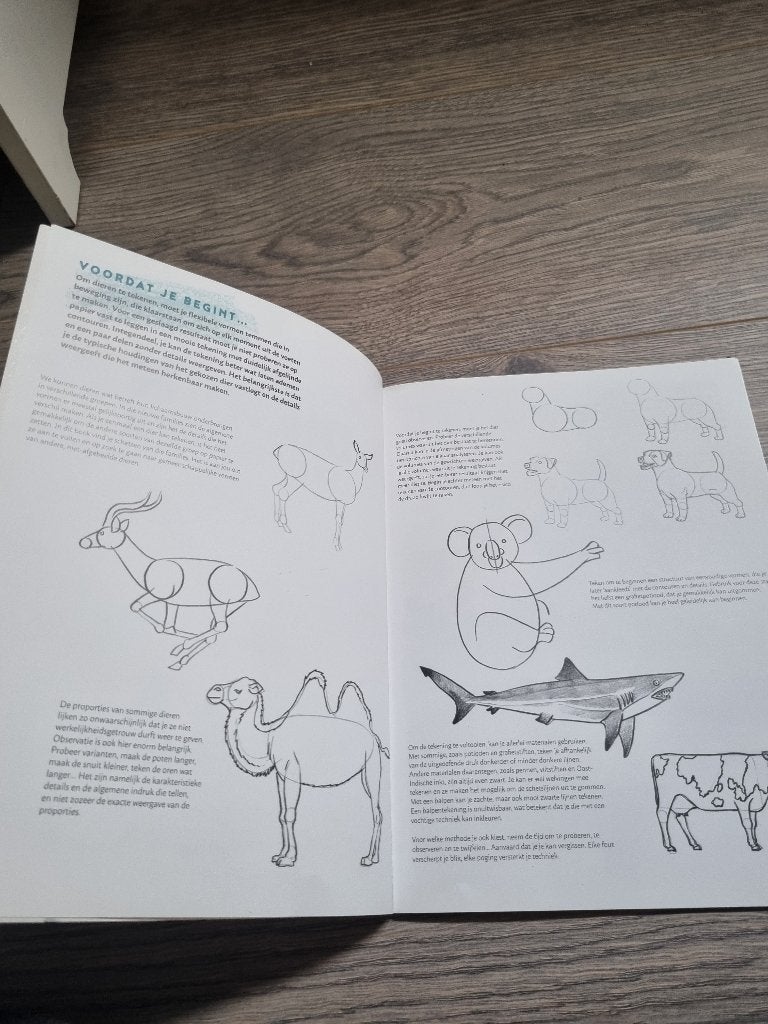 Stap voor stap dieren leren tekenen, Ophalen, Zo goed als nieuw