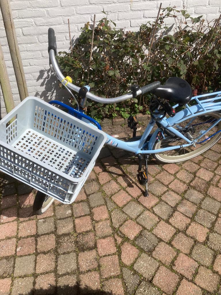 Alpina Cargo kinderfiets, Fietsen en Brommers, Ophalen, Alpina Clubb, Gebruikt, Terugtraprem