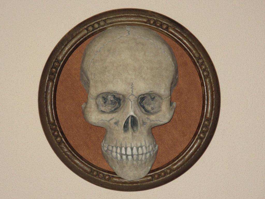 menselijke Schedel REPLICA op Wandbord, Skull mens Wanddeco, Ophalen of Verzenden, Nieuw
