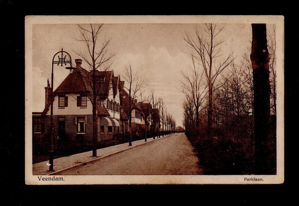 Veendam , 1924. Parklaan., Verzamelen, Ansichtkaarten | Nederland, Verzenden, 1920 tot 1940, Gelopen, Groningen