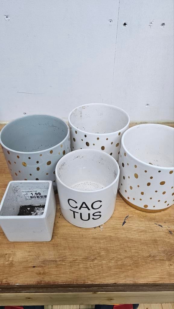5 potten, Ophalen, Halfschaduw, Minder dan 100 cm