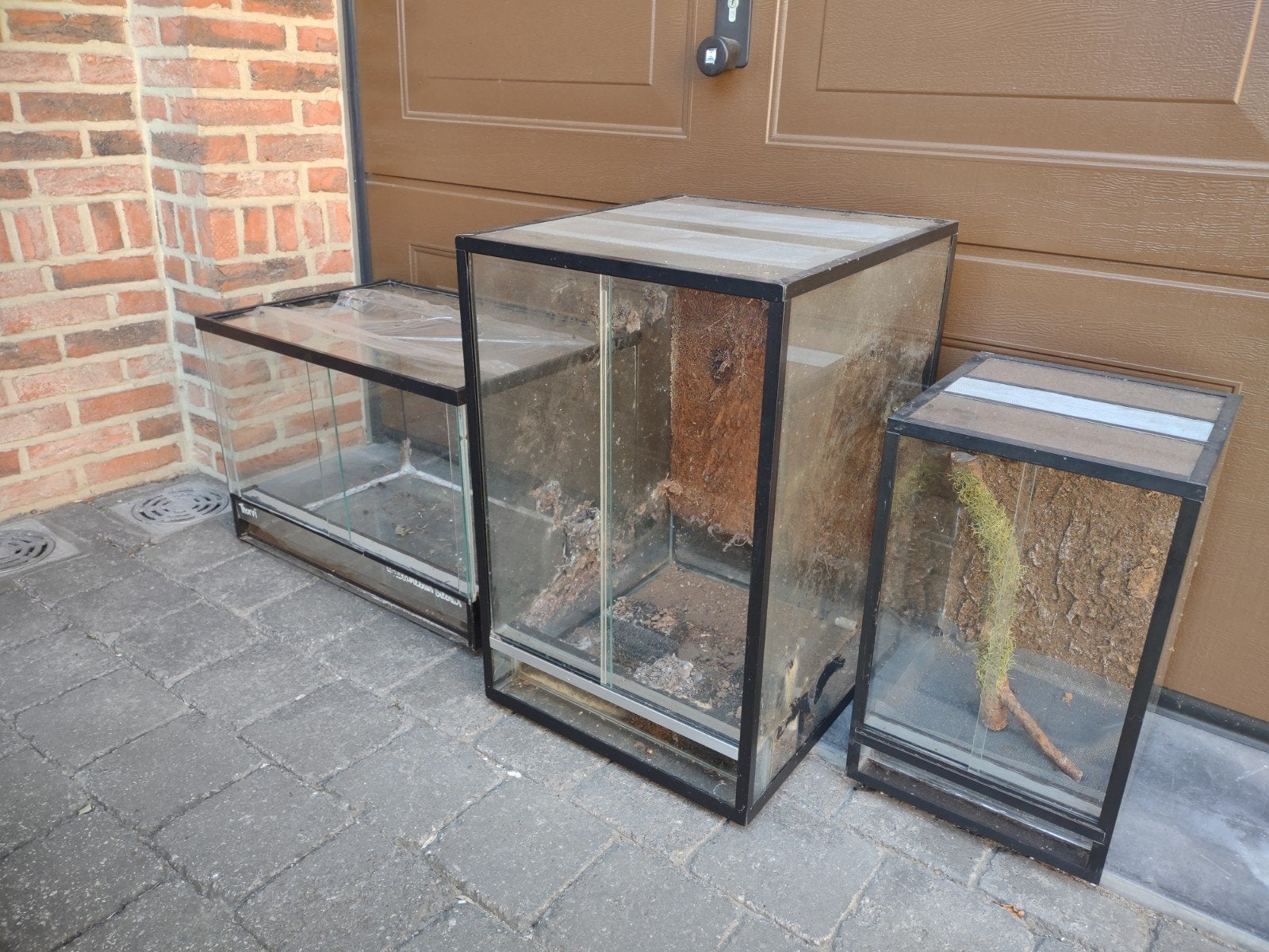 3x terrarium in één koop, Dieren en Toebehoren, Reptielen en Amfibieën | Toebehoren, Ophalen