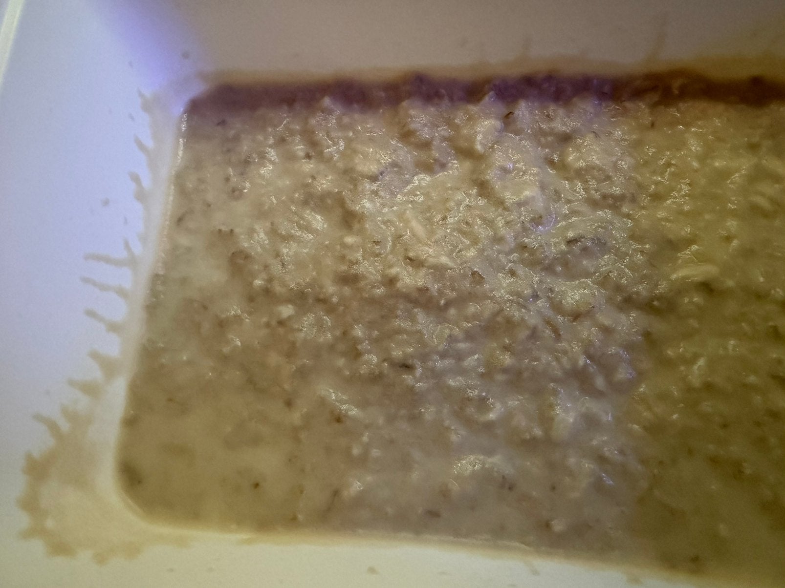 Microwormen entportie | direct oogstenportie, Vis