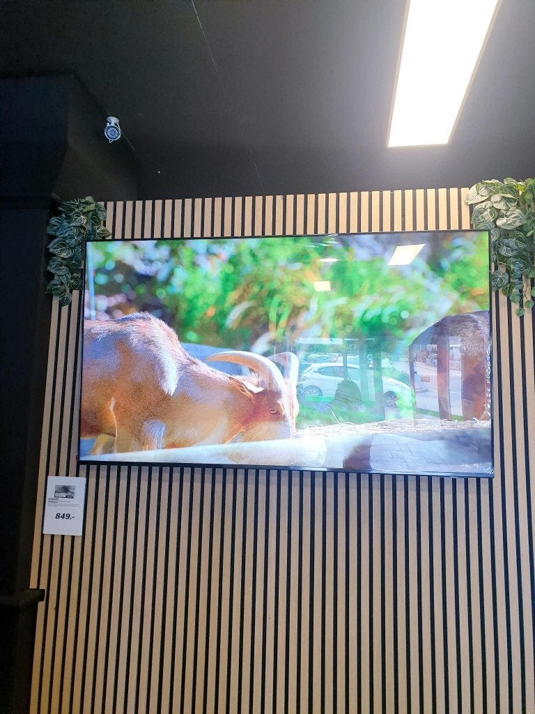 samsung  smart tv NIEUW inc garantie, Ophalen, QLED, 50 Hz, Nieuw