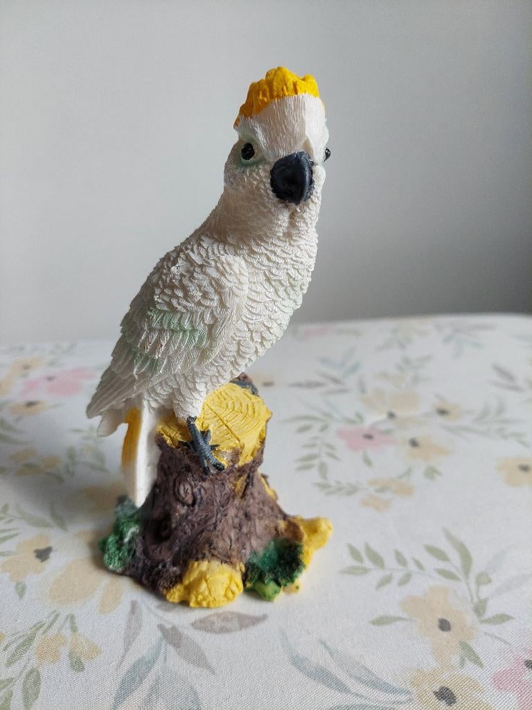 Beeld van "Witte papagaai met Gele kop"  (NIEUW), Ophalen of Verzenden, Nieuw, Dier