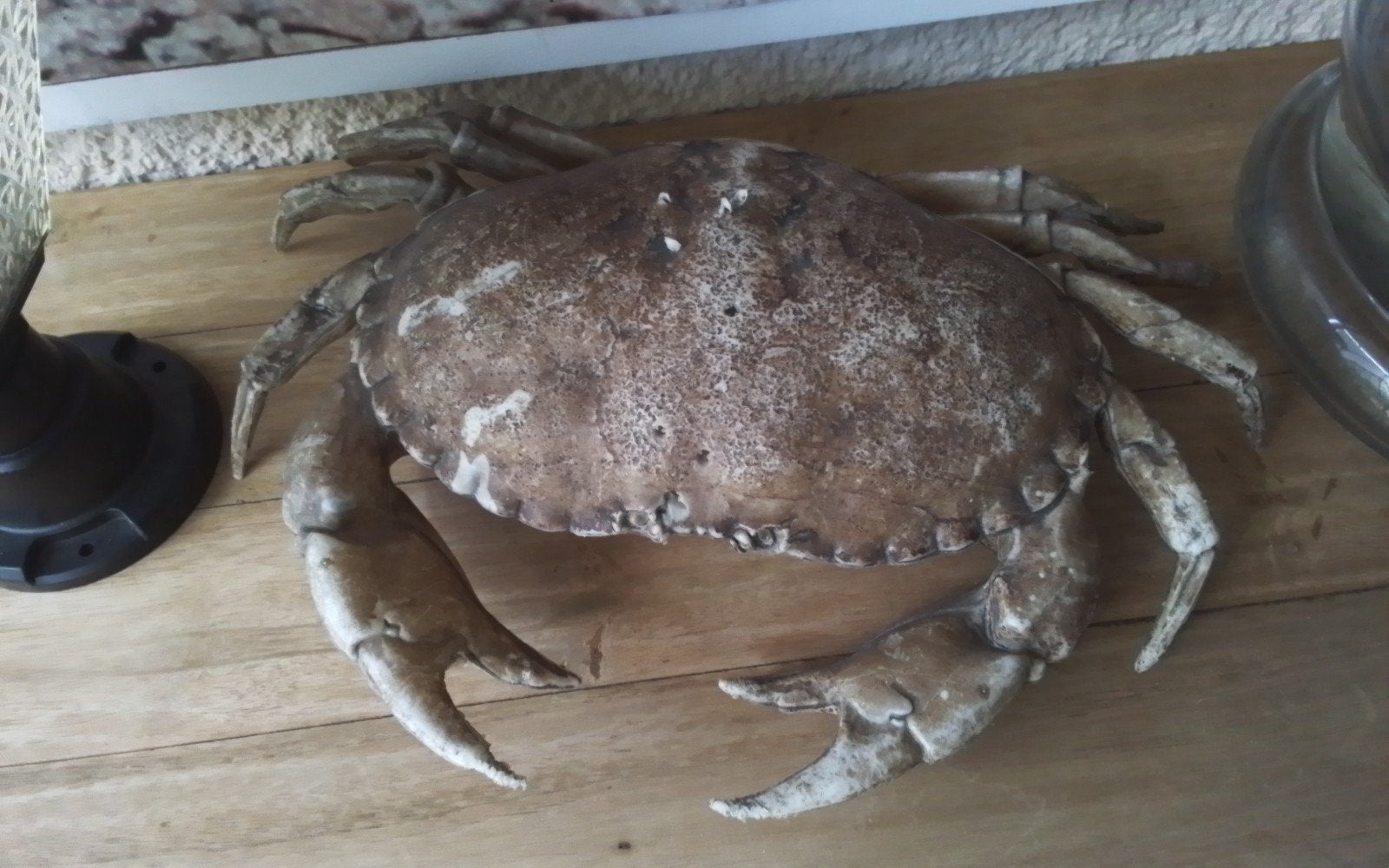 Decoratieve Krab - Uniek Stuk voor Thuis, Ophalen of Verzenden