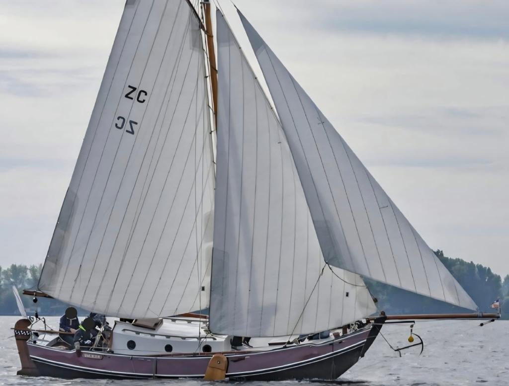 Zeeschouw Liamer 850, Zeer goed onderhouden zeiljacht., Watersport en Boten, Kajuitzeilboten en Zeiljachten, Ophalen, Overige merken