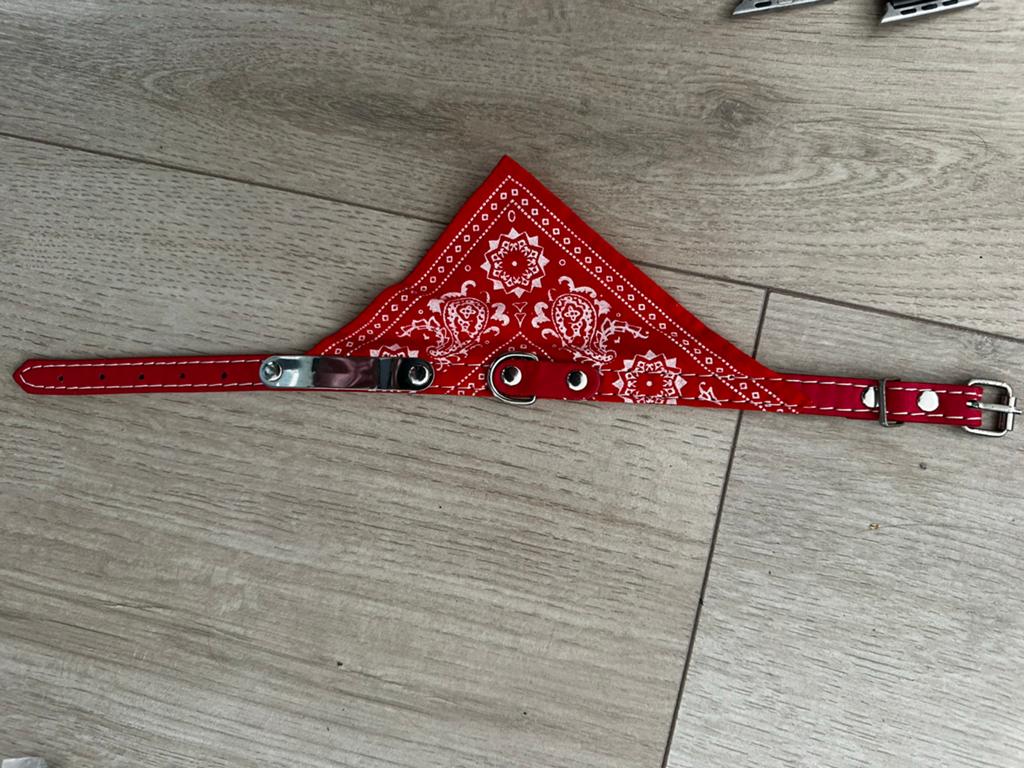 Hondenriem kattenriem maat S, Ophalen, Nieuw