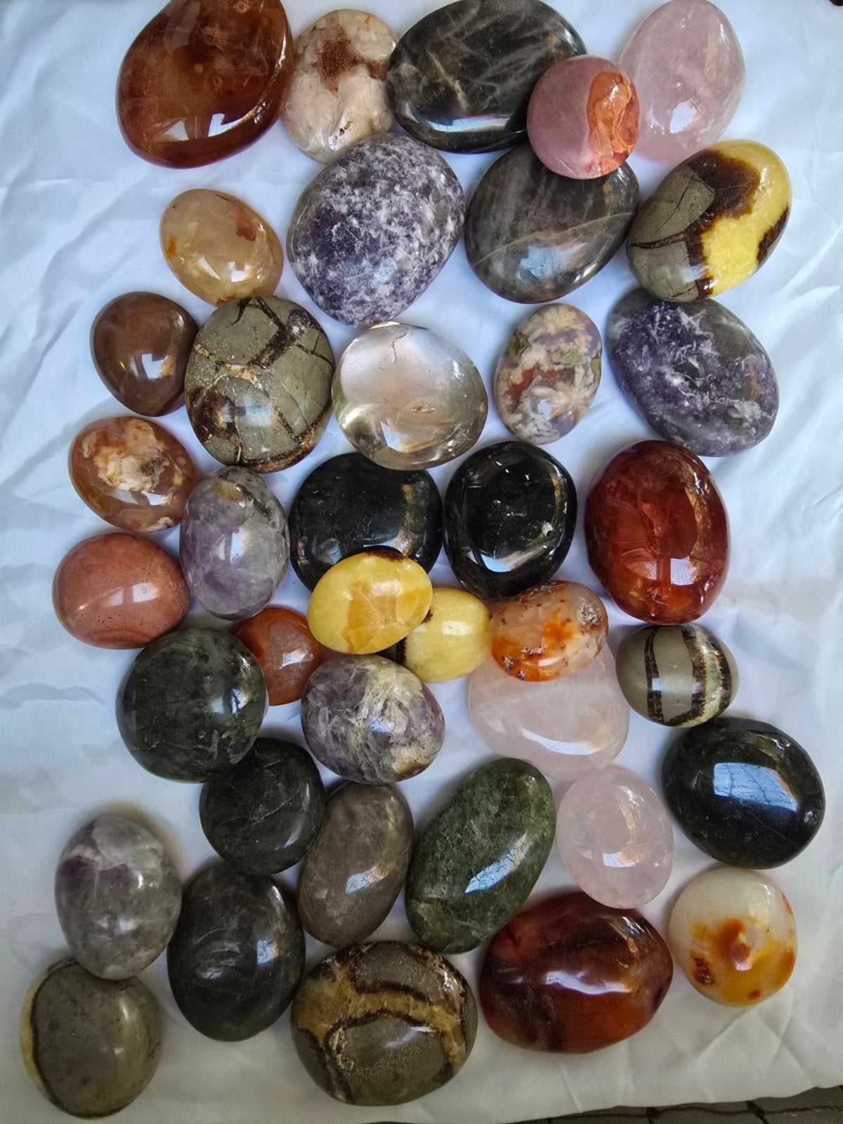 partij palmstenen, Verzamelen, Mineralen en Fossielen, Ophalen of Verzenden