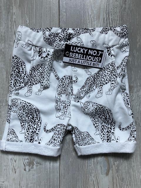 Zeer grote partij baby en kinderkleding, Kinderen en Baby's, Kinderkleding | Overige, Ophalen, Nieuw, Diverse merken, Jongen of Meisje