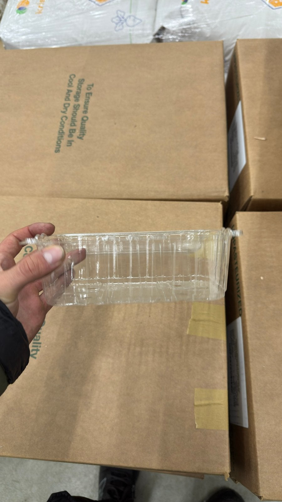 Plastic Fruitbakjes met Gaatjes - Vershoudbakjes, Overige typen, Nieuw, Ophalen of Verzenden, Overige materialen