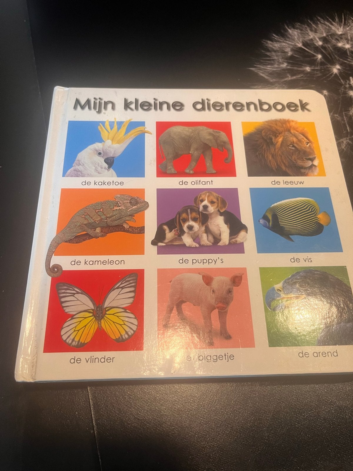 Mijn kleine dierenboek - Leerzaam en kleurrijk, Boeken, Ophalen, Zo goed als nieuw, Uitklap-, Voel- of Ontdekboek, 0 tot 6 maanden