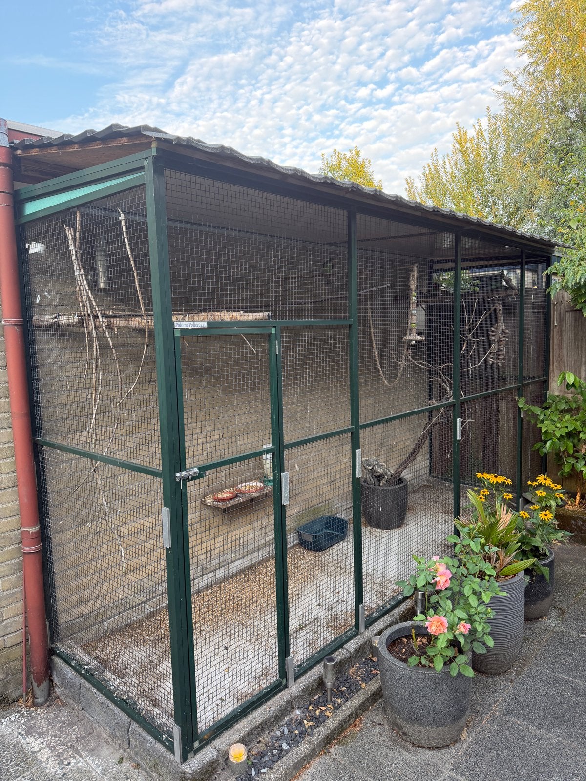 Buiten Volière met deur en afdak., Dieren en Toebehoren, Vogels | Hokken en Kooien, Ophalen, Aluminium, Volière