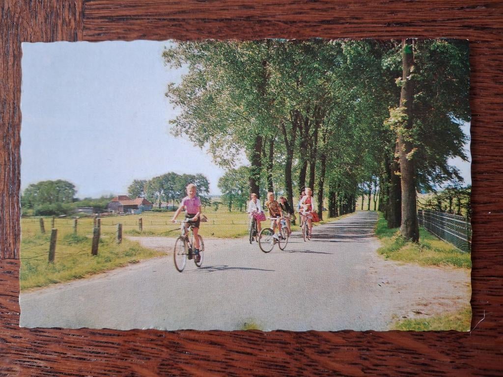 Gaasterland - Weg naar Bakhuizen, Verzenden, Friesland