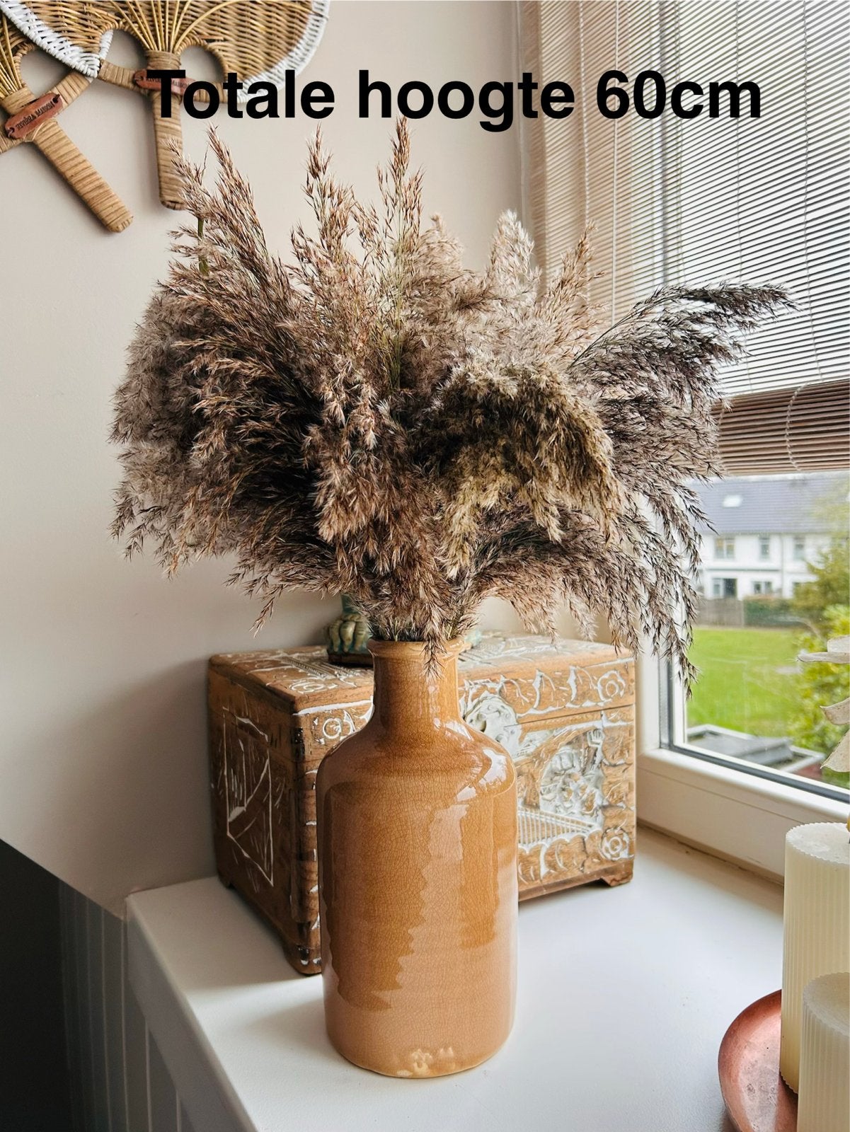 Grote fles met pluimen - Oud-Beijerland, Ophalen, Overige materialen, Overige kleuren, 50 tot 75 cm