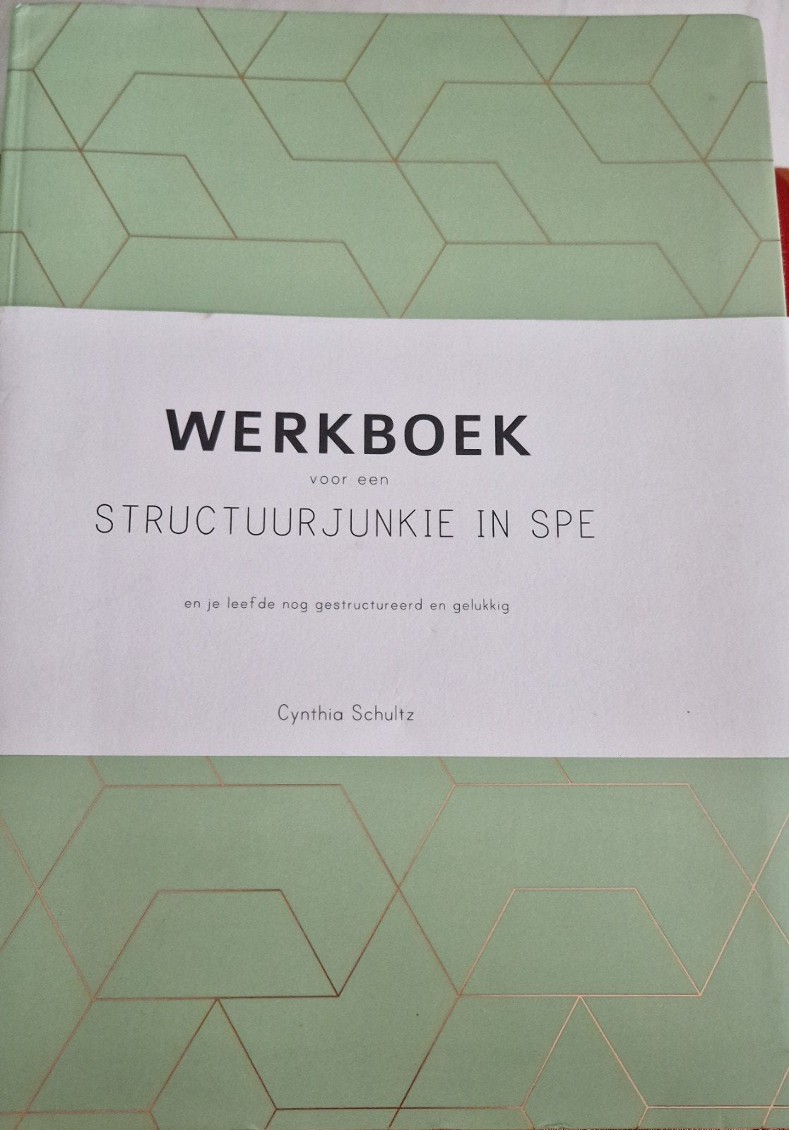 Cynthia Schultz - Werkboek voor een structuurjunkie in spe, Ophalen, Nieuw, Cynthia Schultz