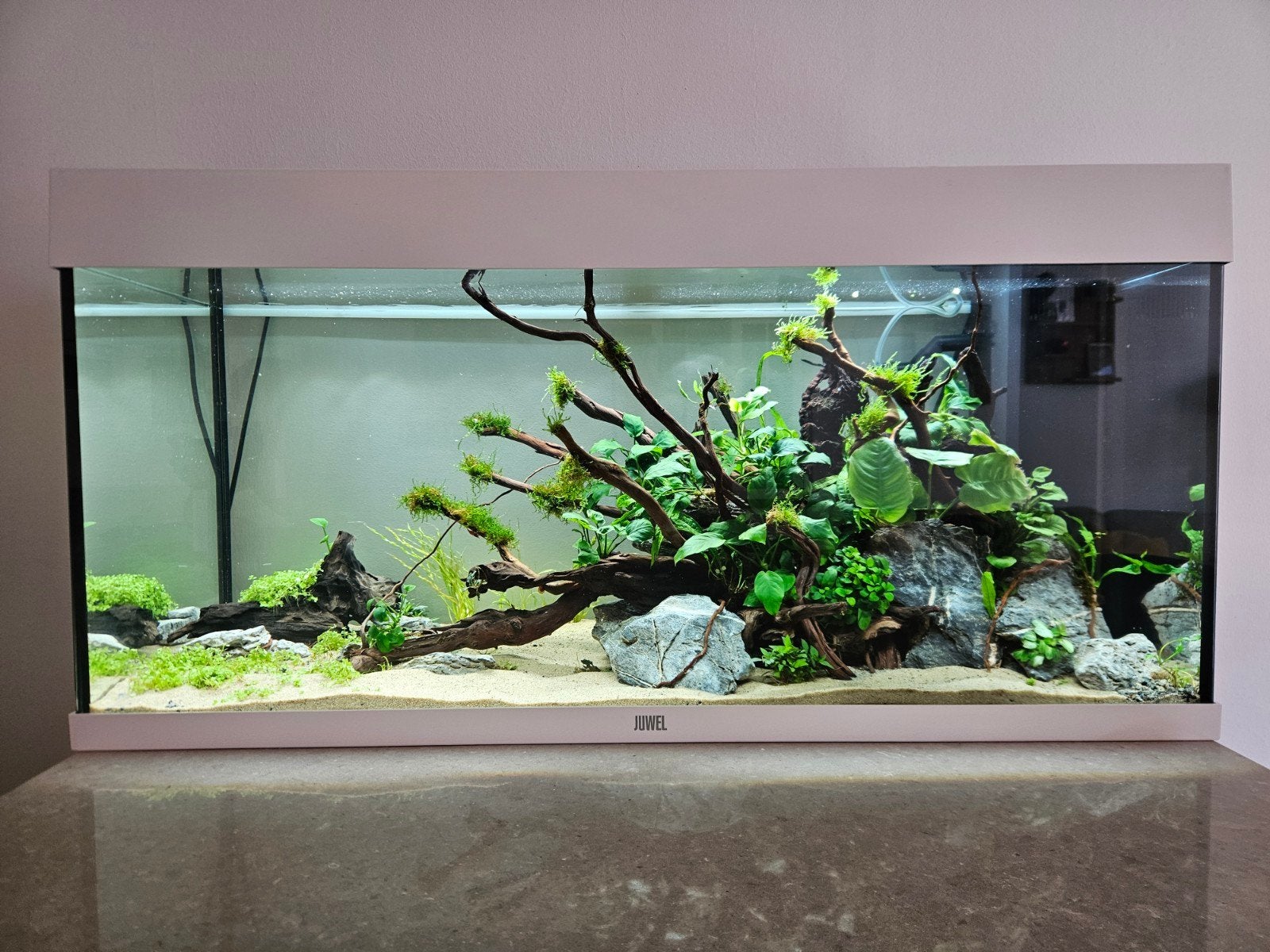 Complete Juwel Rio 180 aquarium, Ophalen, Zo goed als nieuw, Leeg aquarium, Verwarming