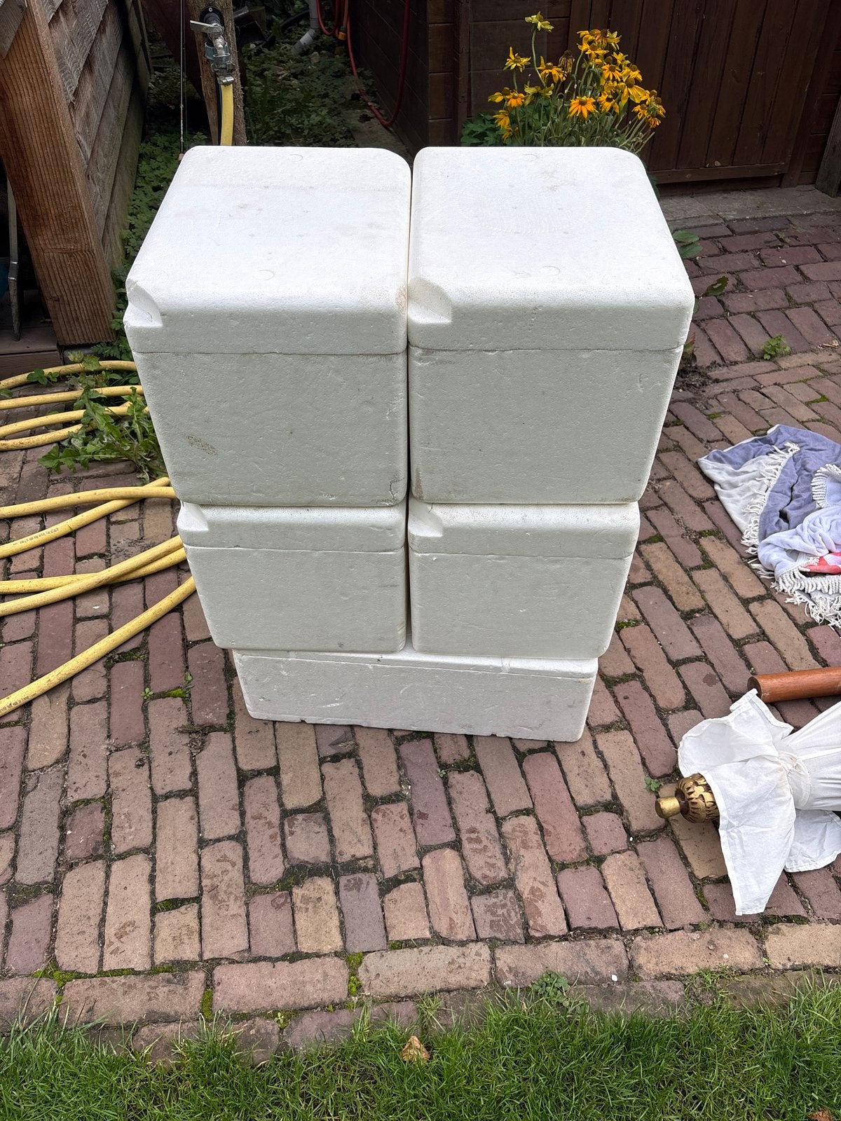 EPS Isolatiedozen / Koelboxen - 5 stuks, Gebruikt, 50 tot 100 cm, Ophalen of Verzenden, 5 – 50
