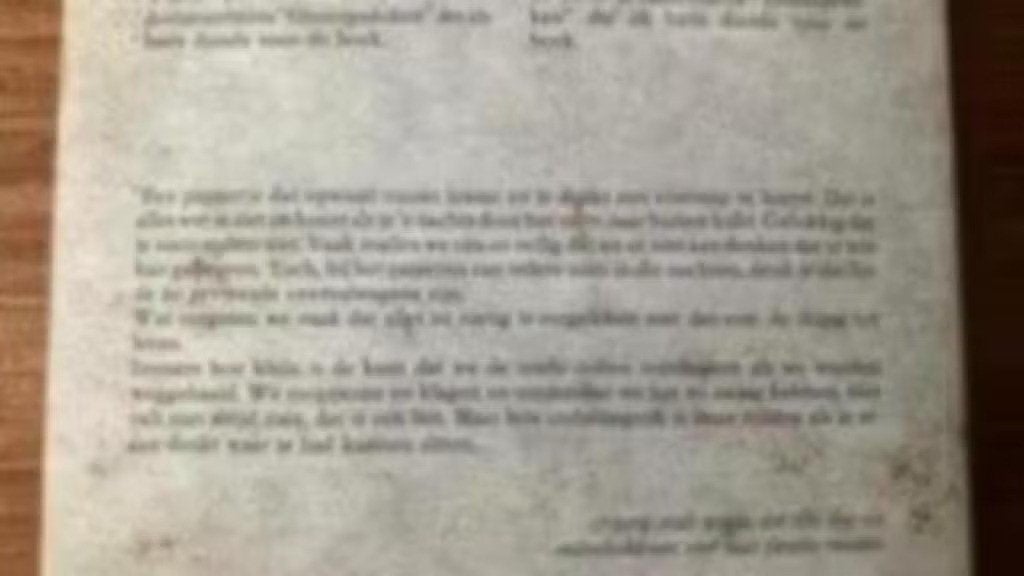 Ondergedoken. Almar Theorema en Jaap walvis ( oorlog), Ophalen of Verzenden, Tweede Wereldoorlog, Gelezen