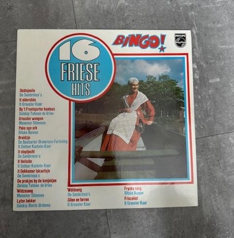 LP Bingo! - 16 Friese Hits, Inclusief binnenhoes, Ophalen of Verzenden, Gebruikt, 12 inch