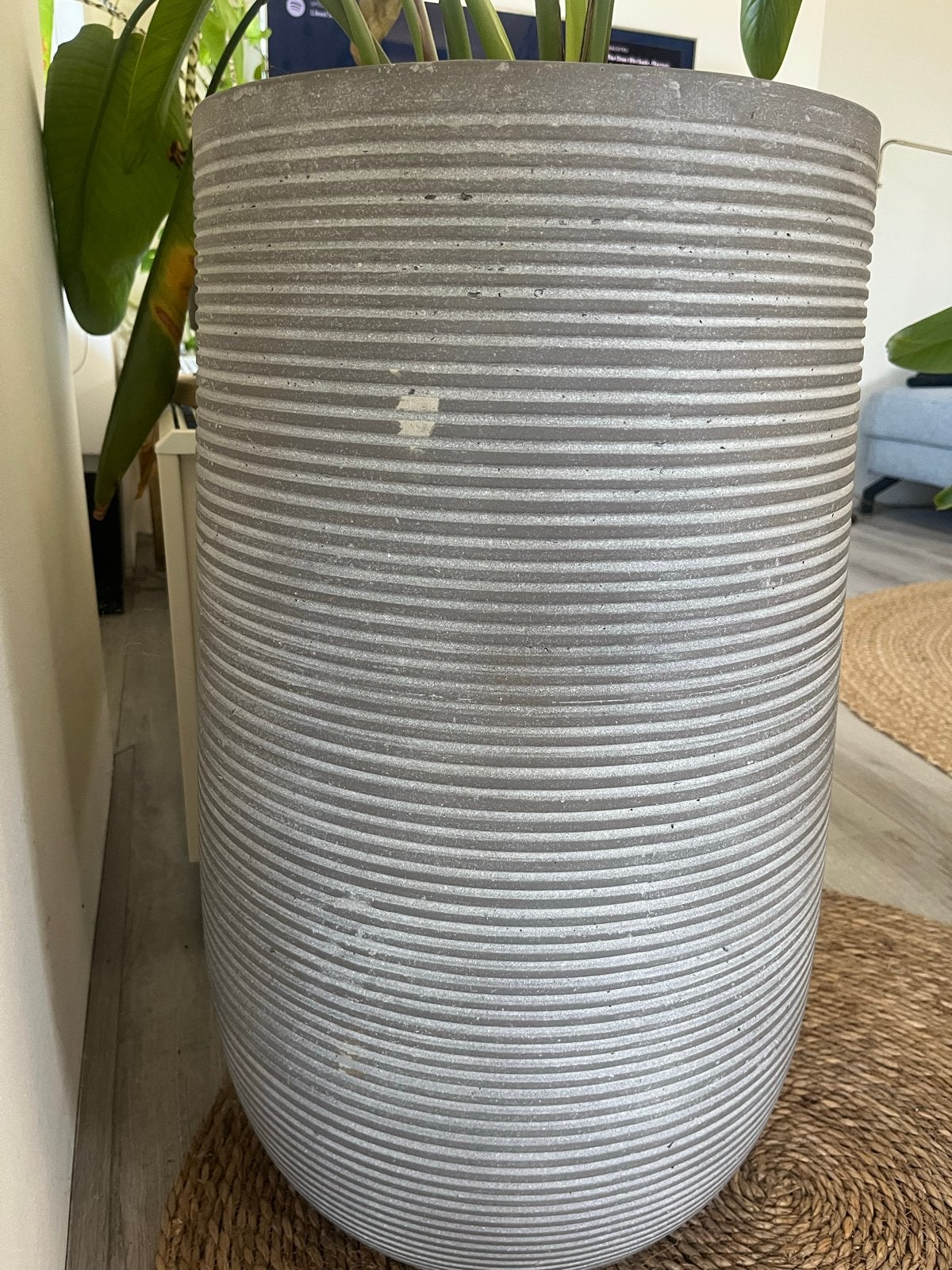 Grote grijze bloempot, 70 cm hoog, Ophalen, Gebruikt, 40 cm of meer, Rond
