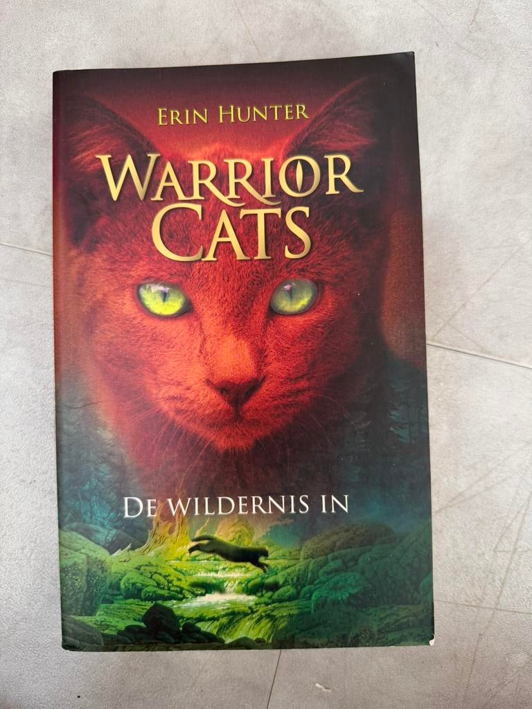 Warrior cats - de wildernis in, Boeken, Ophalen of Verzenden, Zo goed als nieuw